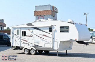 PALOMINO THOROUGHBRED 2007