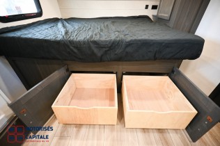 SPORTTREK STINGER LITE 2026