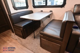 CRUISER AIRE 2021